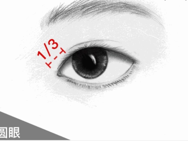 ��ͬ�������ߵĻ��� ʲô�����ʺ�ʲô����